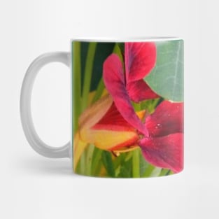 Red Nasturtium Mug